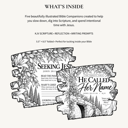 At the Table Bible Companions — The Founding Collection